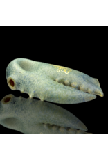 Decorated Claw Pipe C Mrs Claws