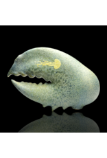 Decorated Claw Pipe C Mrs Claws