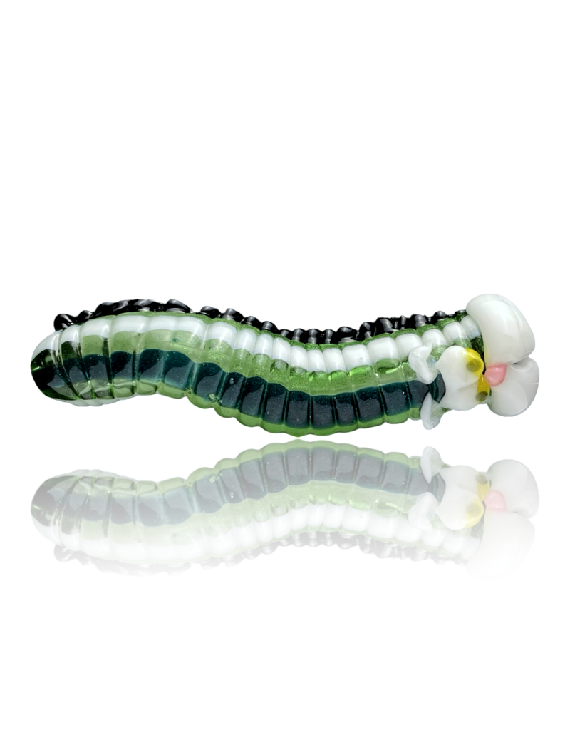 Tammy Baller CATapiller Chillum Tammy Baller