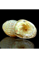 MOGE x DR Treso ISO Fume Jordan 1 High Top Pipe