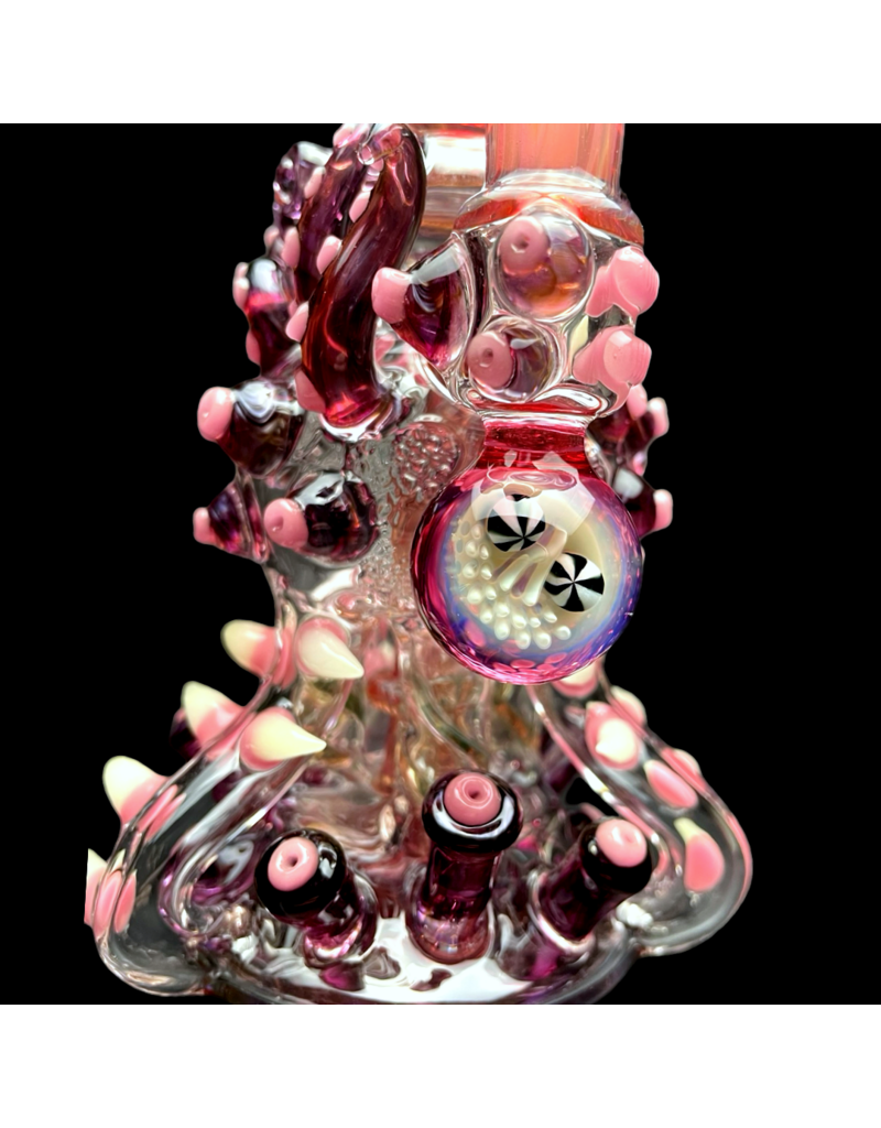 Evan Cals SALT Parthenon Rig EC118