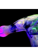 Witch DR Snodgrass Family Glass Bob, Jon, Ginny UV Sidecar SB25