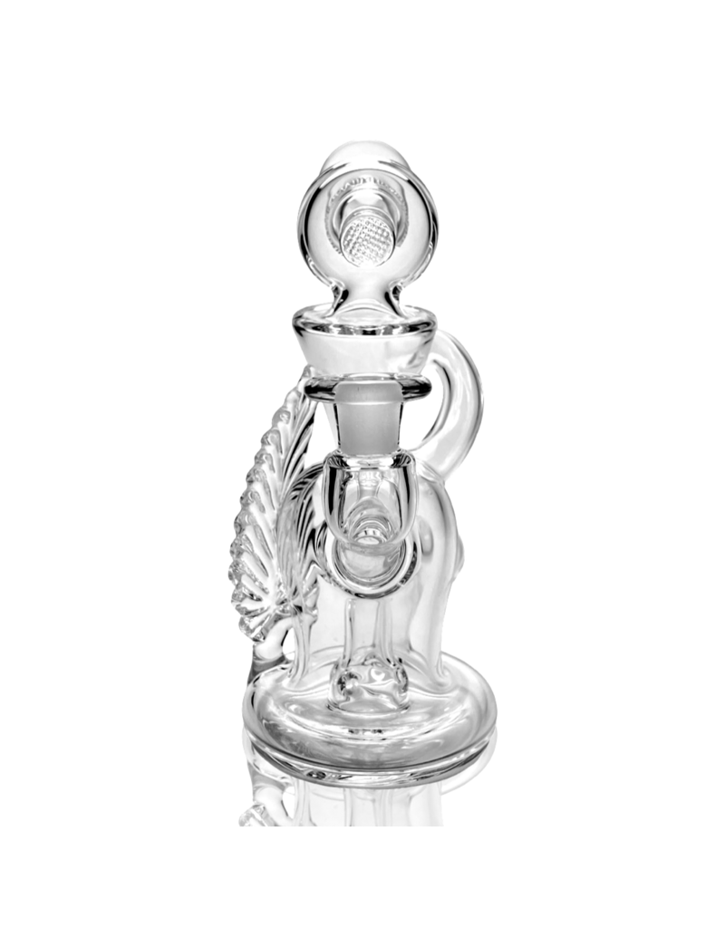 Evan Cals E Cals Revisitng the Roots Clear Cycler