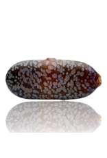 Stone Tech Glass Purple Stone Tablet Pipe Stone Tech Glass