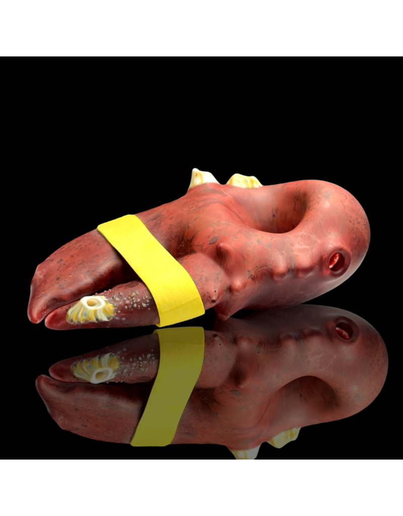 SB Barnacle Claw Pipe Mrs Claws