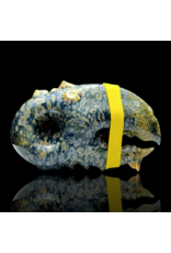 Mrs Claws Blue MIxed Color Hard Shell Barnacle Pipe
