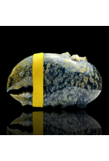 Mrs Claws Blue MIxed Color Hard Shell Barnacle Pipe