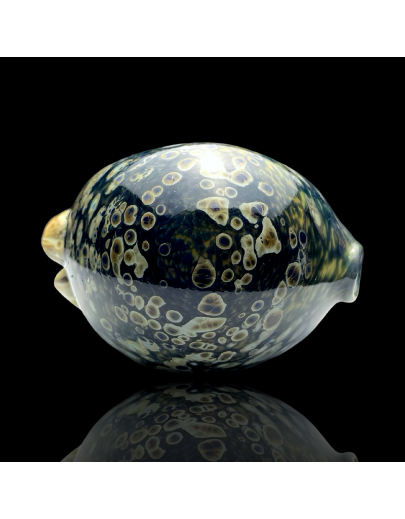 Mrs Claws Blue MIxed Color Hard Shell Barnacle Pipe