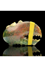 Mrs Claws Green Mixed Color Hard Shell Barnacle Pipe