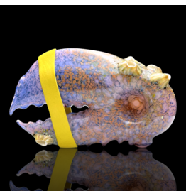 Mrs Claws Purple Hard Shell Barnacle Pipe C