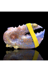 Mrs Claws Purple Hard Shell Barnacle Pipe C