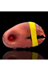 SB Red Claw Pipe Mrs Claws