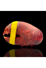 SB Red Claw Pipe Mrs Claws