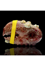 Mrs Claws Red Multi Barnacle Claw Pipe A