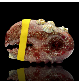 Mrs Claws Red Multi Barnacle Claw Pipe A