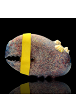 Mrs Claws Blue & Red Mulit Barnacle Claw