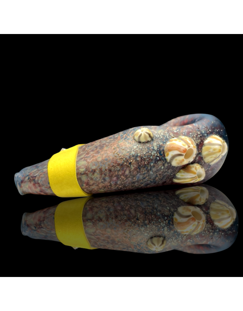 Mrs Claws Blue & Red Mulit Barnacle Claw