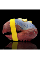 Mrs Claws SB Multi Color Barnacle Claw Pipe