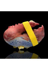 Mrs Claws SB Multi Color Barnacle Claw Pipe