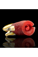 Mrs Claws SB Red Barnacle Claw Pivot Top