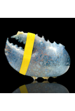Mrs Claws Mermaid UV Barnacle Claw Pipe A