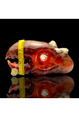 Mrs Claws 14mm Barnacle Claw Slide A