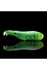 Mrs Claws SB Croc Claw Pipe A