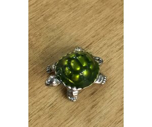 tiny turtles baby boutique