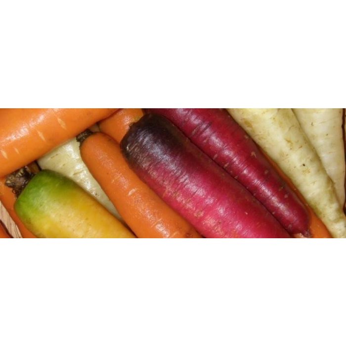 Carotte en mélange bio (500 semences)