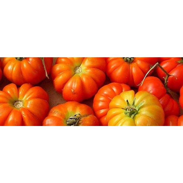 Tomate Rosso silicilian - bio - 35 semences