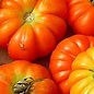 Tomate Rosso silicilian - bio - 35 semences