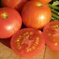Tomate tigerella