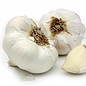 Ail certifié bio  au 10g en vrac