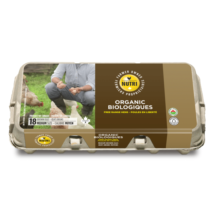 Oeufs bruns biologiques -