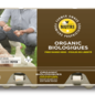 Oeufs bruns biologiques -