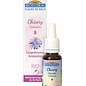 Chicorée 8 (Chicory) bio 20ml