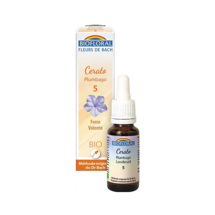 Plumbago 5 (Cerato) bio 20ml