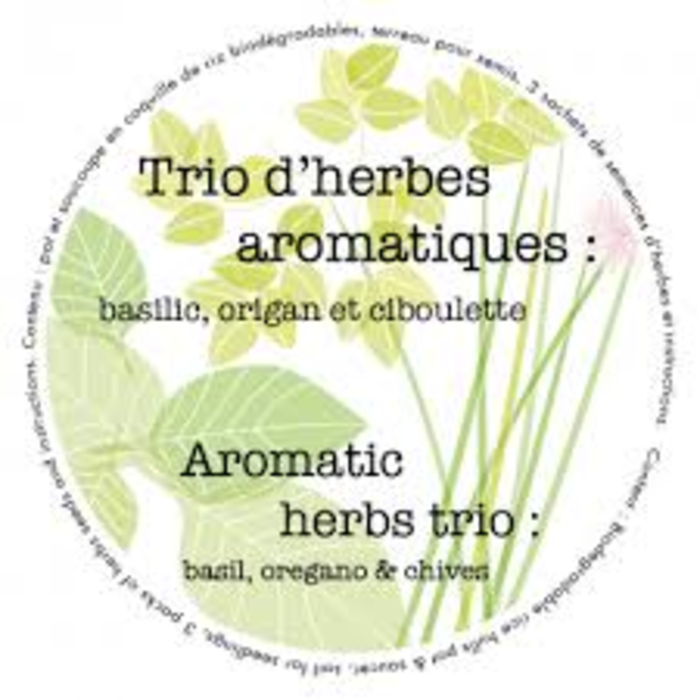 Pot 7" trio  - aromates; basilic, origan, ciboulette