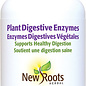 Enzymes digestives végétales