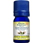 Huile essentielle Thym Thuyanol (Thymus vulgaris thujanoliferum) 5 ml