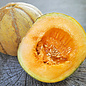 Melon brodé Oka - Bio (25 semences)