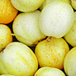 Concombre Citron - Bio (30 semences)