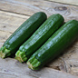 Courgette Dark green bio (25 semences)