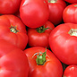 Tomate coeur de boeuf La Pasquale - Bio (30 semences)