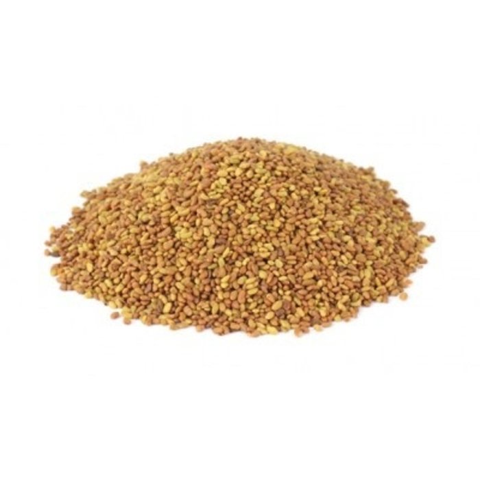 Graines de luzerne à germer bio 250g
