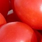 Tomate Principe Borghese