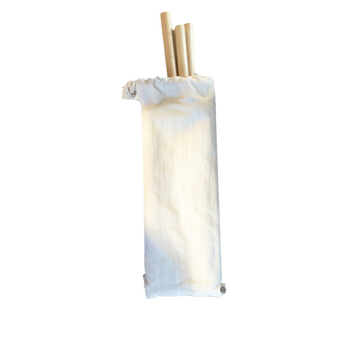 Pailles en bamboo avec brosse et sac -