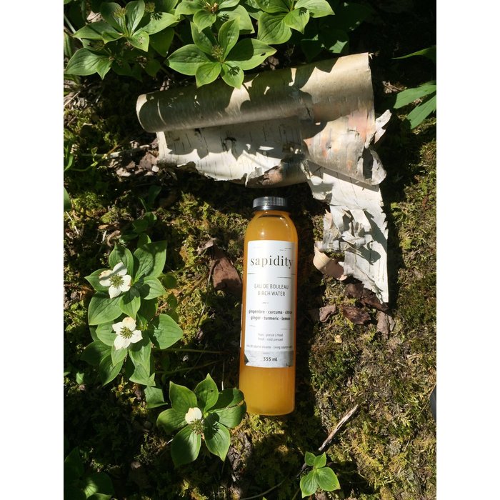 Eau de bouleau 300 ml