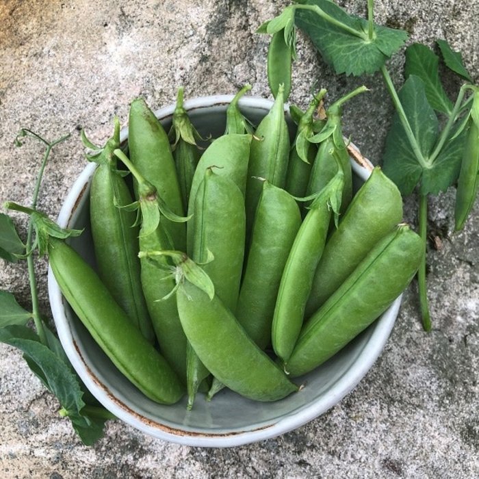 Sac de récolte - Jardins de l'écoumène