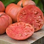 Tomate beefsteak Dester - Bio (35 semences)